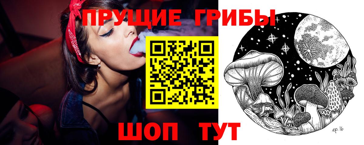 Псилоцибиновые грибы GOLDEN TEACHER  Вход с VPN  Россошь  Галлюциногенные грибы прущие грибы 
